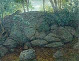 Woodland Rocks